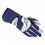 Alpinestars 355102 F1-R Gloves Alpinestars 355102 F1-R Gloves