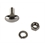 Speedway 1933-40 Ford Stainless Oval Head Bumper Bolts Speedway 1933-40 Ford Stainless Oval Head Bumper Bolts