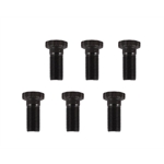 ARP Chevy Flywheel Bolts, 1 Pc. Rear Main