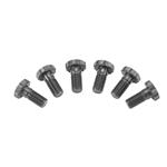 ARP Chevy Flywheel Bolts