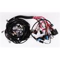 Speedway 2005-2006 LS2/4L65E Wiring Harness