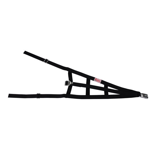 Speedway Sprint Car Cage Net Speedway Sprint Car Cage Net