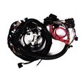Speedway 2007-2008 LS2/LS3/LS7 Engine Wiring Harness