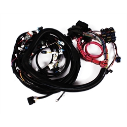 Speedway 2007-2008 LS2/LS3/LS7 Engine Wiring Harness
