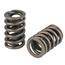 Speedway Racing Valve Springs, 1.25 Inch O.D., Set/16 Speedway Racing Valve Springs, 1.25 Inch O.D., Set/16