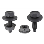 Body Bolt Kit - 10 Piece