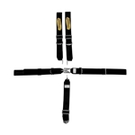Garage Sale - Speedway 5 Point Harness Seat Belt Combo, Latch And Link, Black