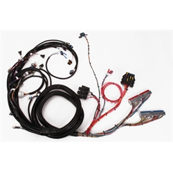 Speedway 1999-2002 LS1 Engine Wiring Harness, Extended