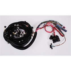 Speedway 1999-2003 Vortec V8 Wiring Harness, Extended