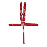Simpson 5-Point Harness With Sternum Protector, Bolt-In, Pull Up