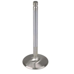 Ford Racing M-6507-A351 N351 Sportsman Intake Valve