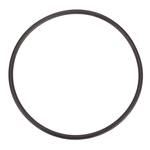 Winters Performance 7474 Seal Plate O-Ring