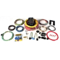 Painless Wiring 10220 18 Circuit Remote Trunk Harness
