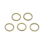 Hilborn Fuel Injection F510C-1 .030 Inch Shims for Bypass Valve Spring