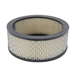 Replacement Paper Filter for Shotgun Scoop, 6.38 x 2.38 Inch