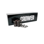 Garage Sale - Crower New Premium Valve Springs and Retainers