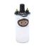 PerTronix 40001 Flame-Thrower Coil, Chrome PerTronix 40001 Flame-Thrower Coil, Chrome