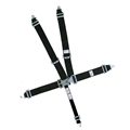 Speedway Seat Belt Combo