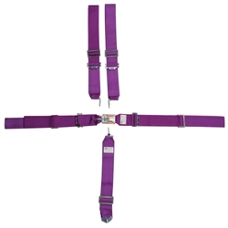 Speedway Seat Belt Combo