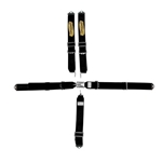 Speedway 5 Point Harness Seat Belt Combo, Latch and Link, Pull Down