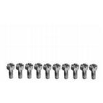 Ring Gear Bolts for 9 Inch Ford, 10 PK