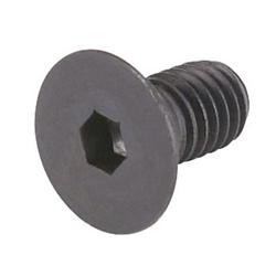 Flat Head Cap Screw - 12 Pieces