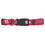 Garage Sale - Dale Earnhardt Jr. Dog Collar