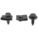 Body Bolt Kit - 10 Piece with Clips