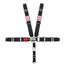 Safety Racing 5-Point Bolt-In Seat Belt Kit