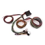 Economy 12 Circuit Wiring Harness