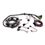 Painless Wiring 60103 1990-92 GM TPI Speed Density Engine Harness Painless Wiring 60103 1990-92 GM TPI Speed Density Engine Harness