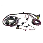 Painless Wiring 60103 1990-92 GM TPI Speed Density Engine Harness