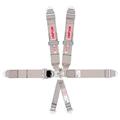 Simpson 29056SP Platinum 6-Point Seat Belt Set