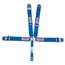 Simpson 5-Point Seat Belt Sets, Bolt-In, Pull Up