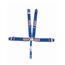 Simpson 5-Point Seat Belt Set - Pull Down Style
