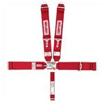 Simpson 5-Point Harness, Latch & Link Sprint Seat Belt, Short Sew Pattern