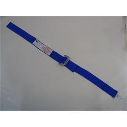 Garage Sale - Simpson Cam Lock 34 Inch Sub Belt, Blue