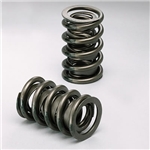 Garage Sale - Isky Valve Springs