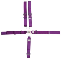 GARAGE SALE - SEAT BELT COMBO/IND HARNESS PRP