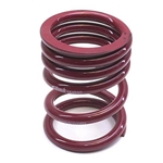 Eibach Progressive Pull Bar Springs