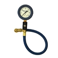 Intercomp 2-1/2 Inch Glow-In-The-Dark Tire Pressure Gauge, 30 PSI