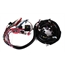 Speedway 1997-1998 LS1 Wiring Harness, Extended Speedway 1997-1998 LS1 Wiring Harness, Extended