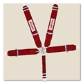 Simpson 5-Point Harness Seat Belt, Bolt-In, Pull Up
