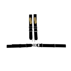 GARAGE SALE - SEAT BELT COMBO/IND HARNESS