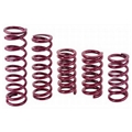 Eibach Rear Racing Springs - 5 Inch x 11 Inch