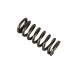 Bert Transmission 39 Detent Spring