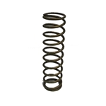 Garage Sale - Landrum 12 Inch Coilover Springs