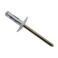 Multi-Grip Rivets, 3/16 Inch, Large Head, Box/250