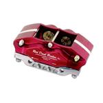 200 SERIES Caliper, RIGHT HAND 1.250 & 1.50 PSTNS