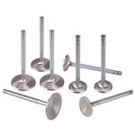 Speedway Super Duty Stainless Valves